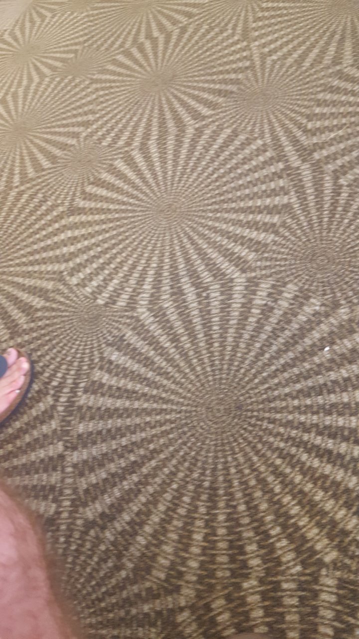 20170625_165135.jpg