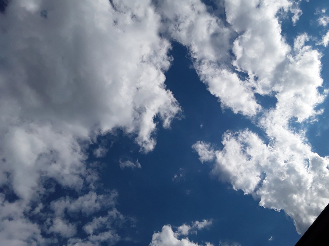 20170625_175325.jpg
