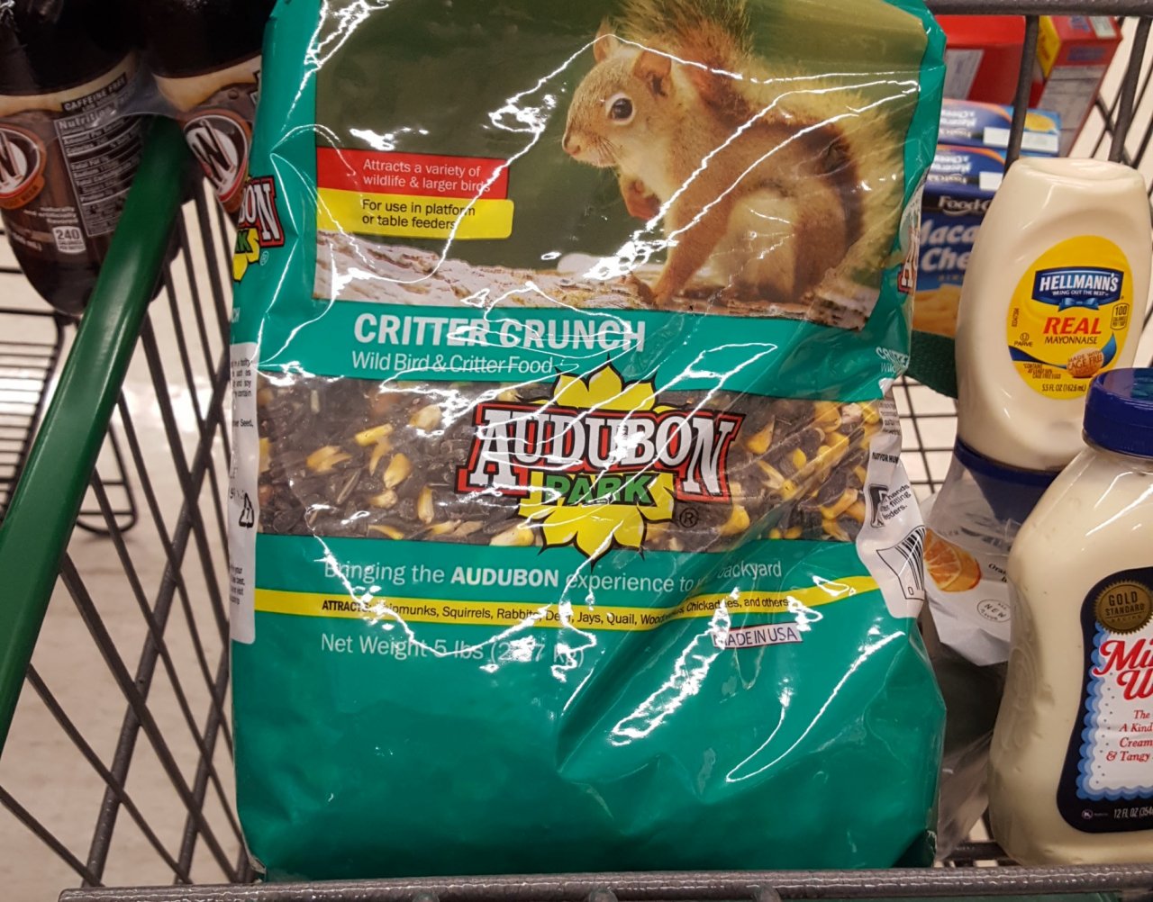 20180309_115142.jpg