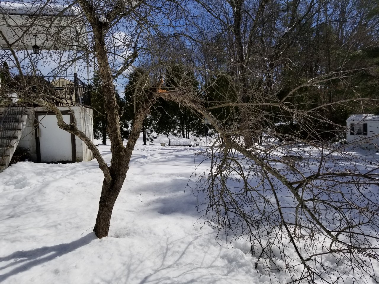 20180311_131552.jpg