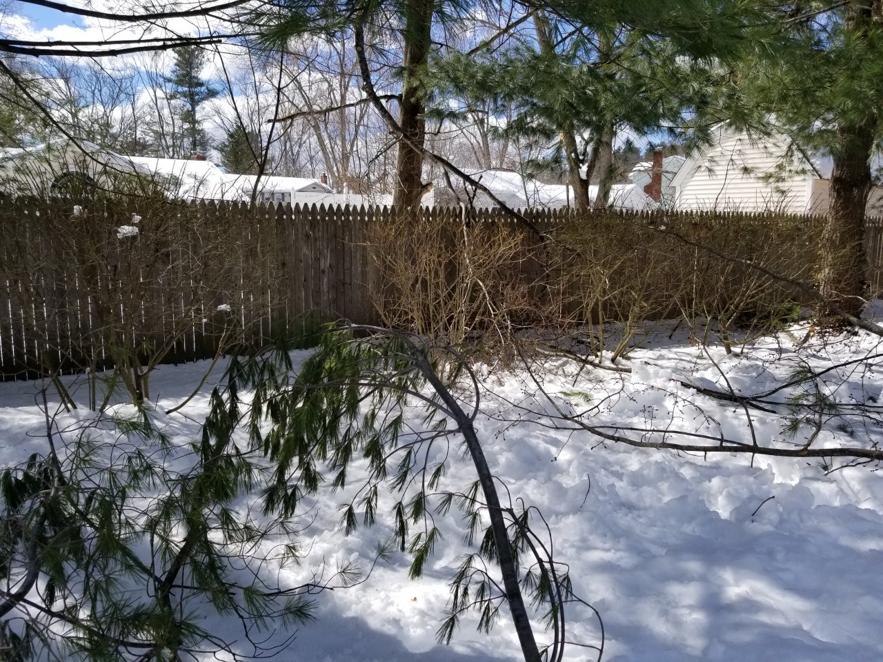 20180311_131622.jpg