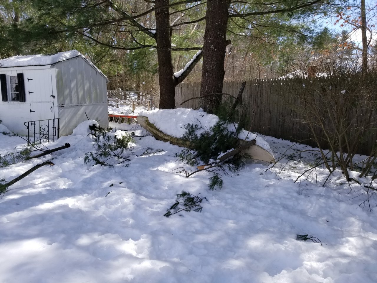 20180311_131639.jpg
