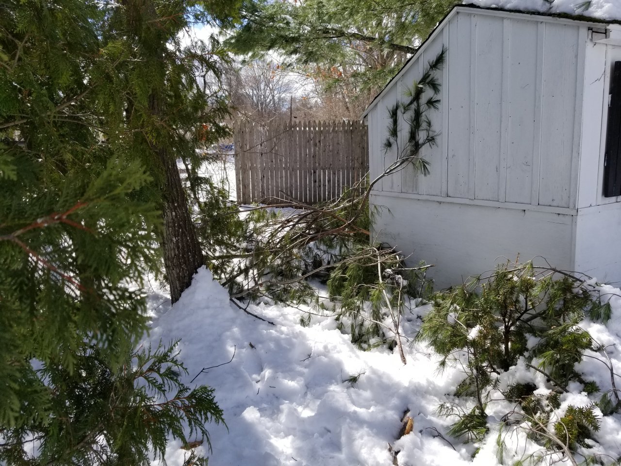 20180311_131705.jpg