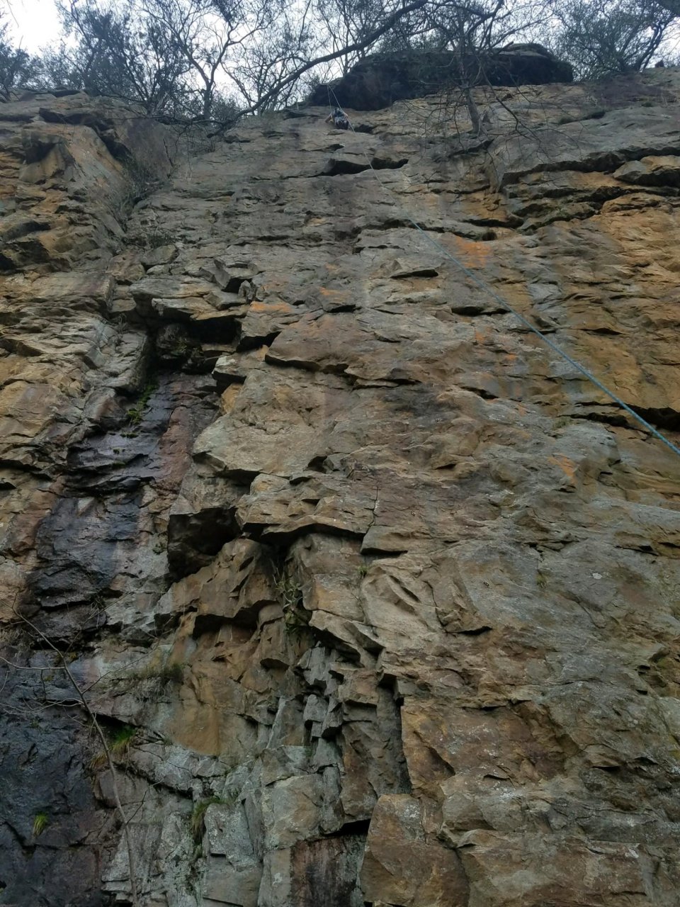2018032895173045.jpg