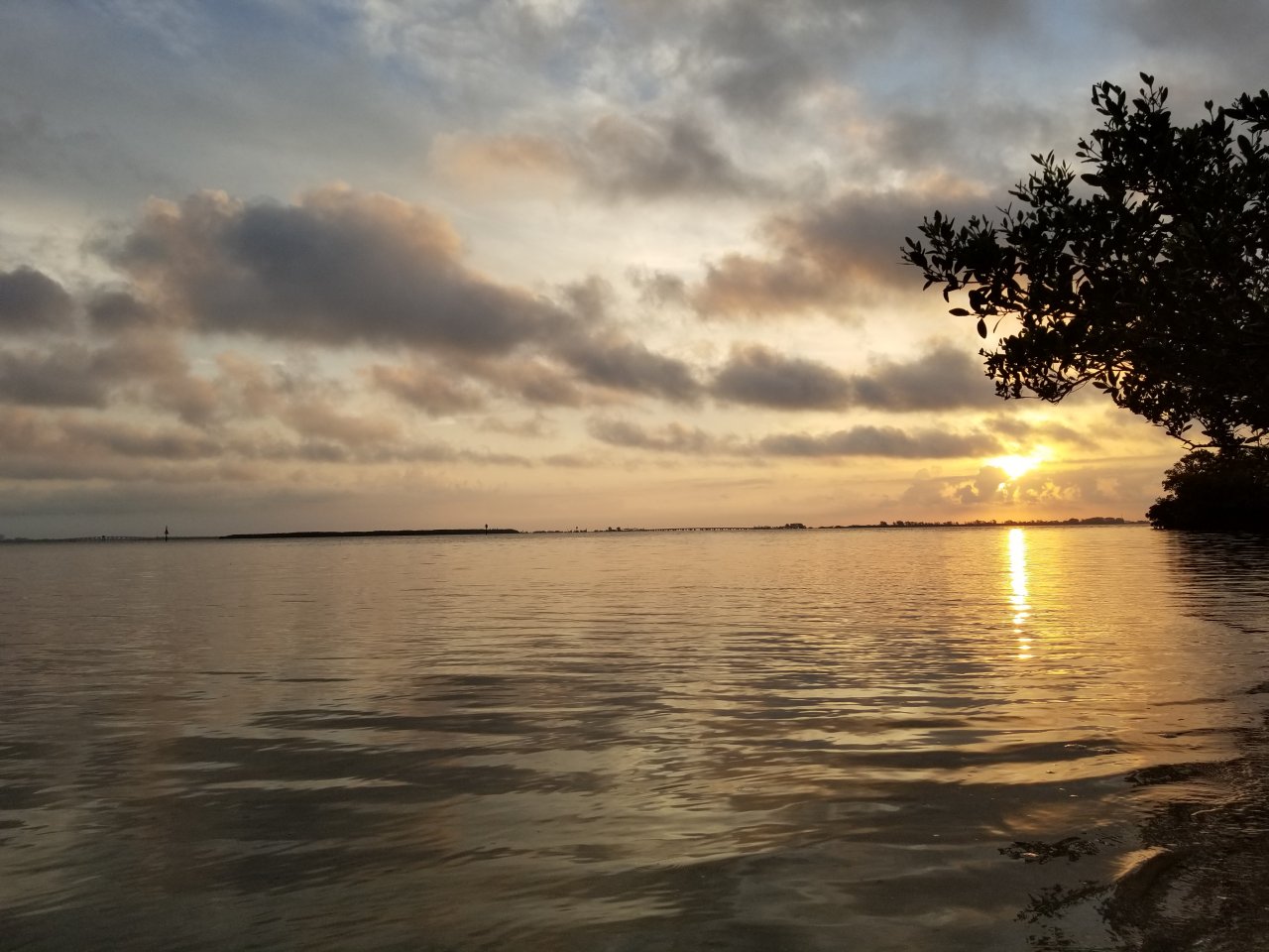 20180407_073036.jpg
