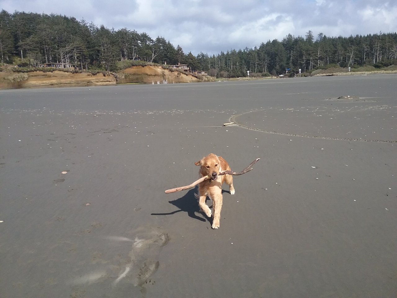 20180410_155030.jpg