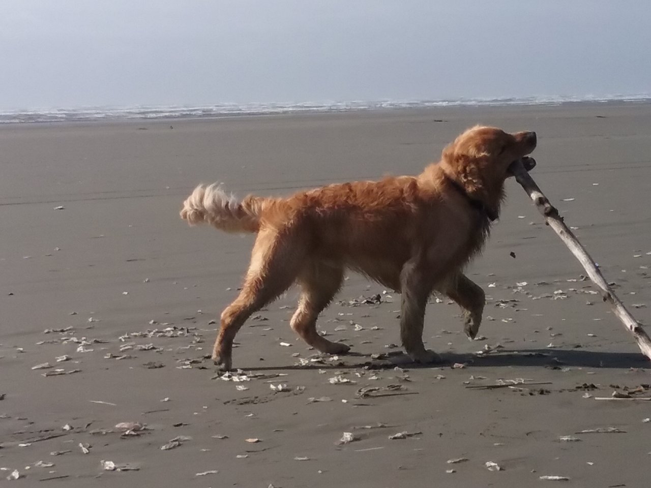 20180410_165401.jpg