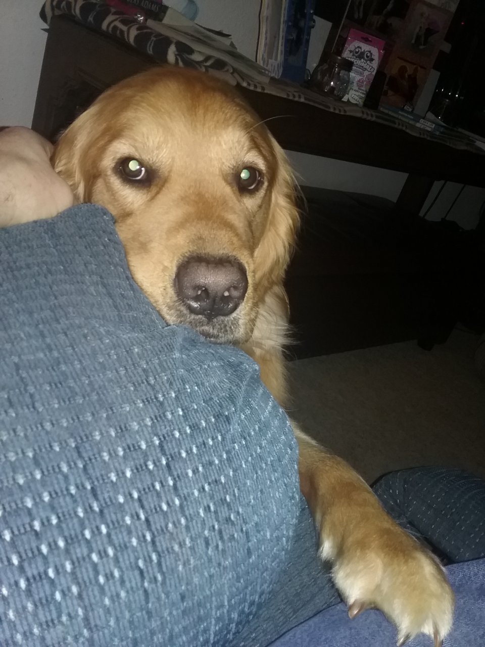 20180422_004426.jpg