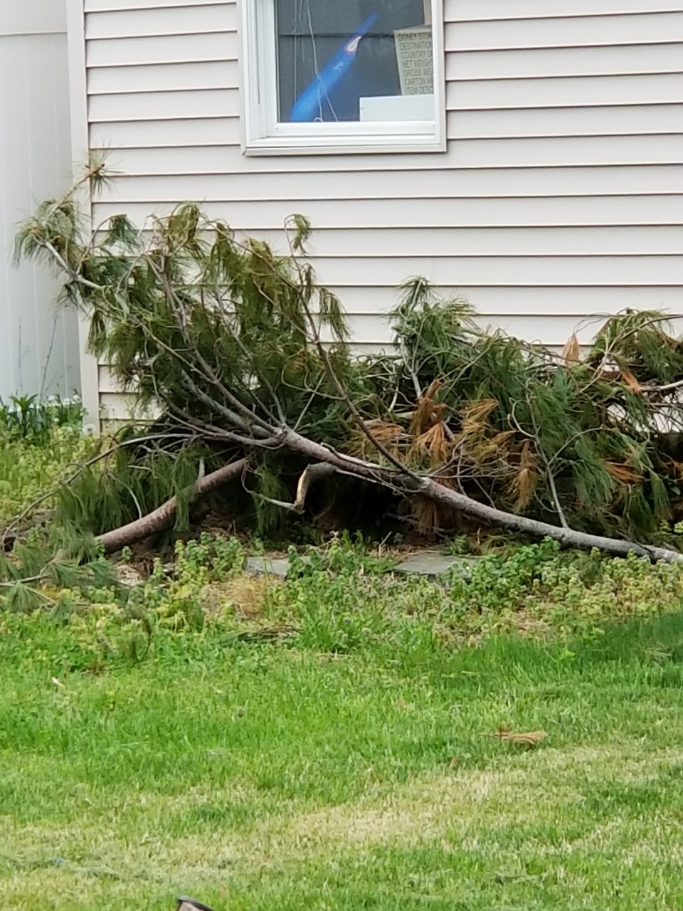 20180505_165911.jpg