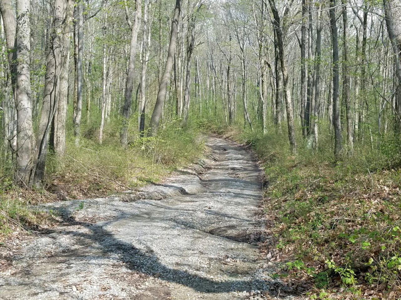 20180510_170938.jpg