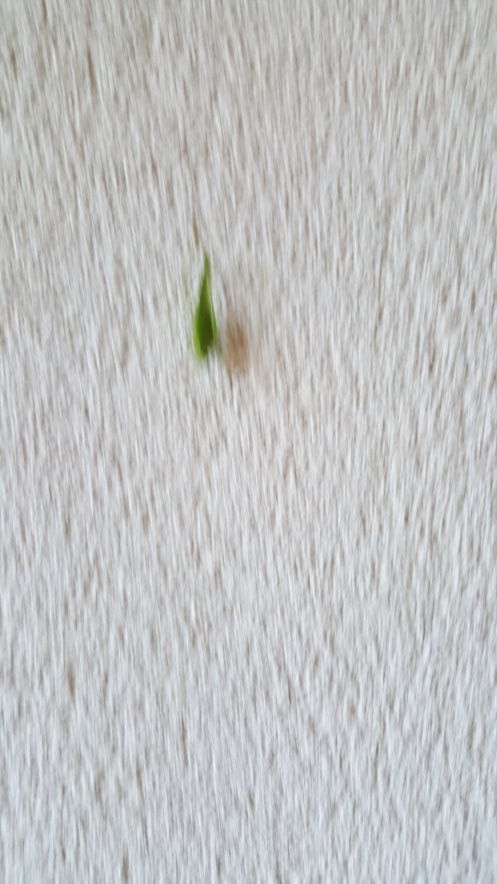 20180726_163018.jpg