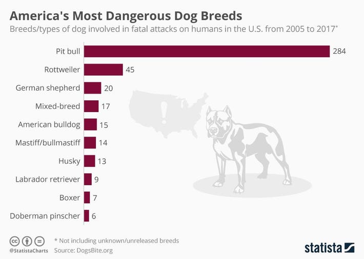 20180914_Deadly_Dogs_Forbes.jpg