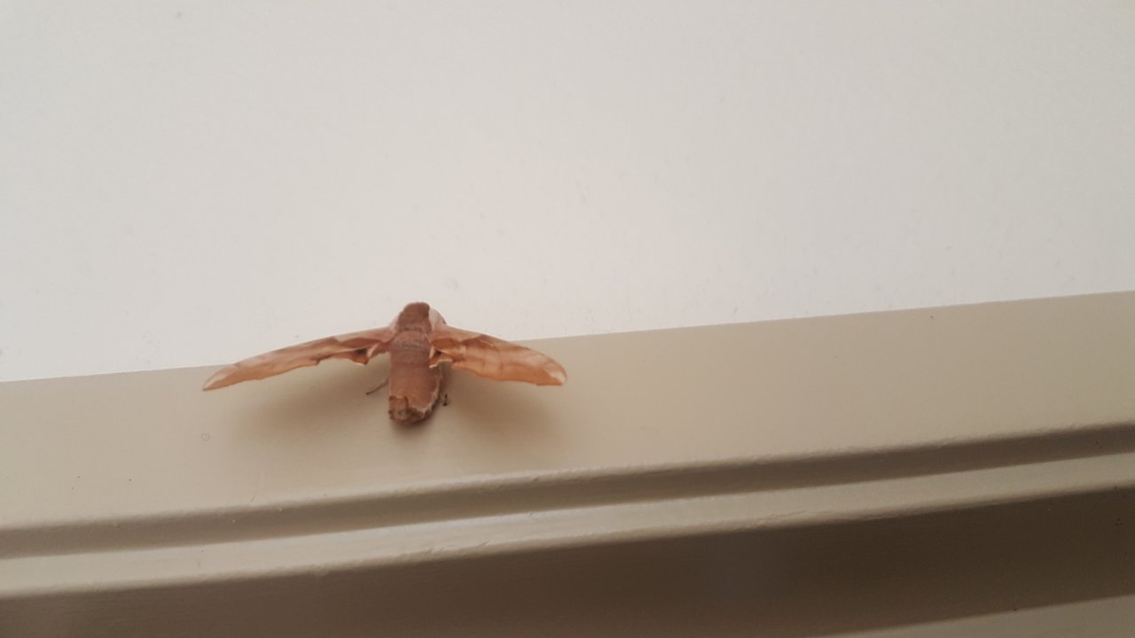20180918_111726.jpg