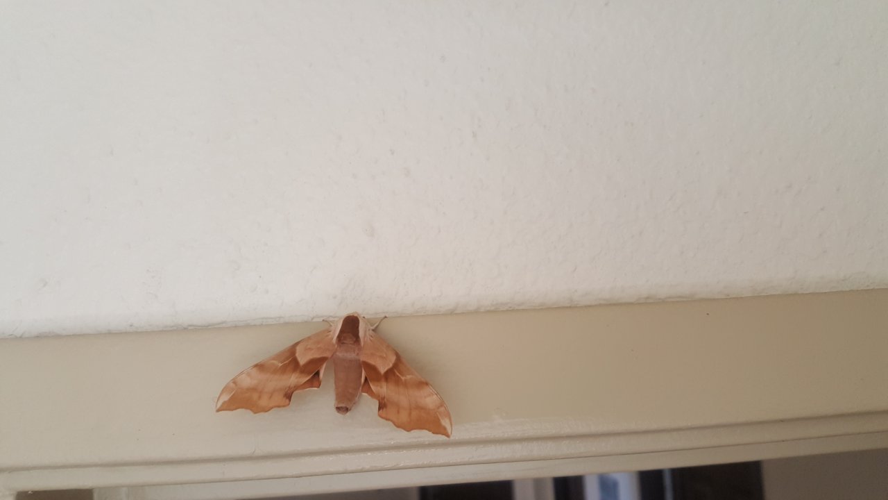 20180918_111735.jpg