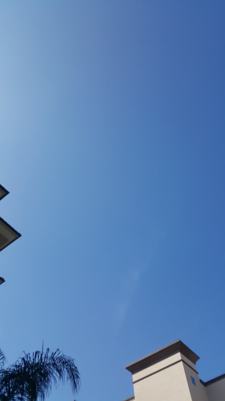 20180926_145059.jpg