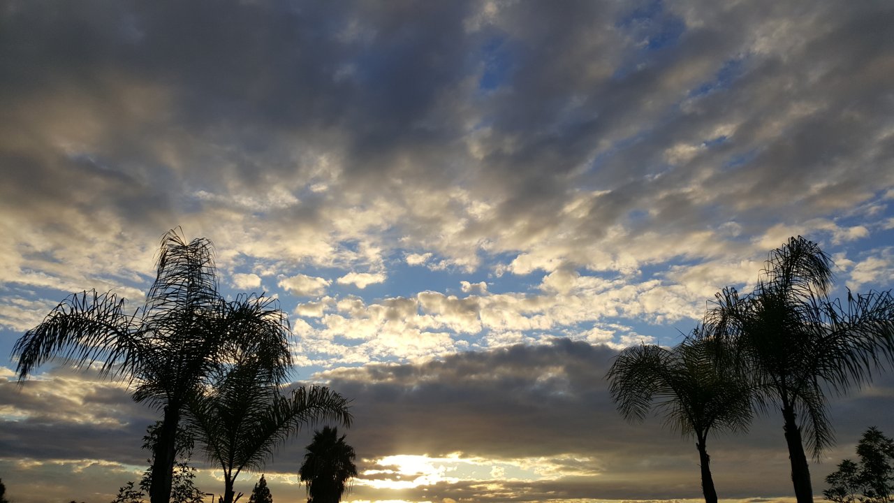 20181002_180932.jpg