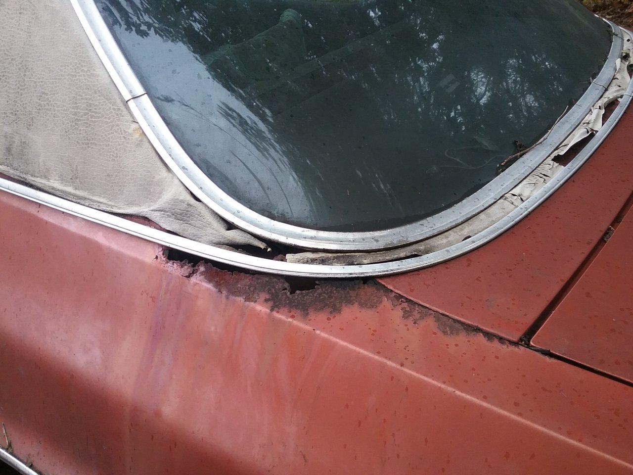 20181007_151446.jpg