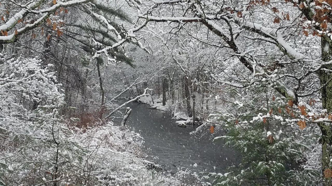 20181120_142225.jpg