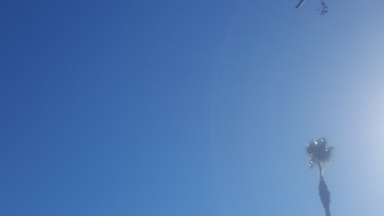 20181125_092728.jpg