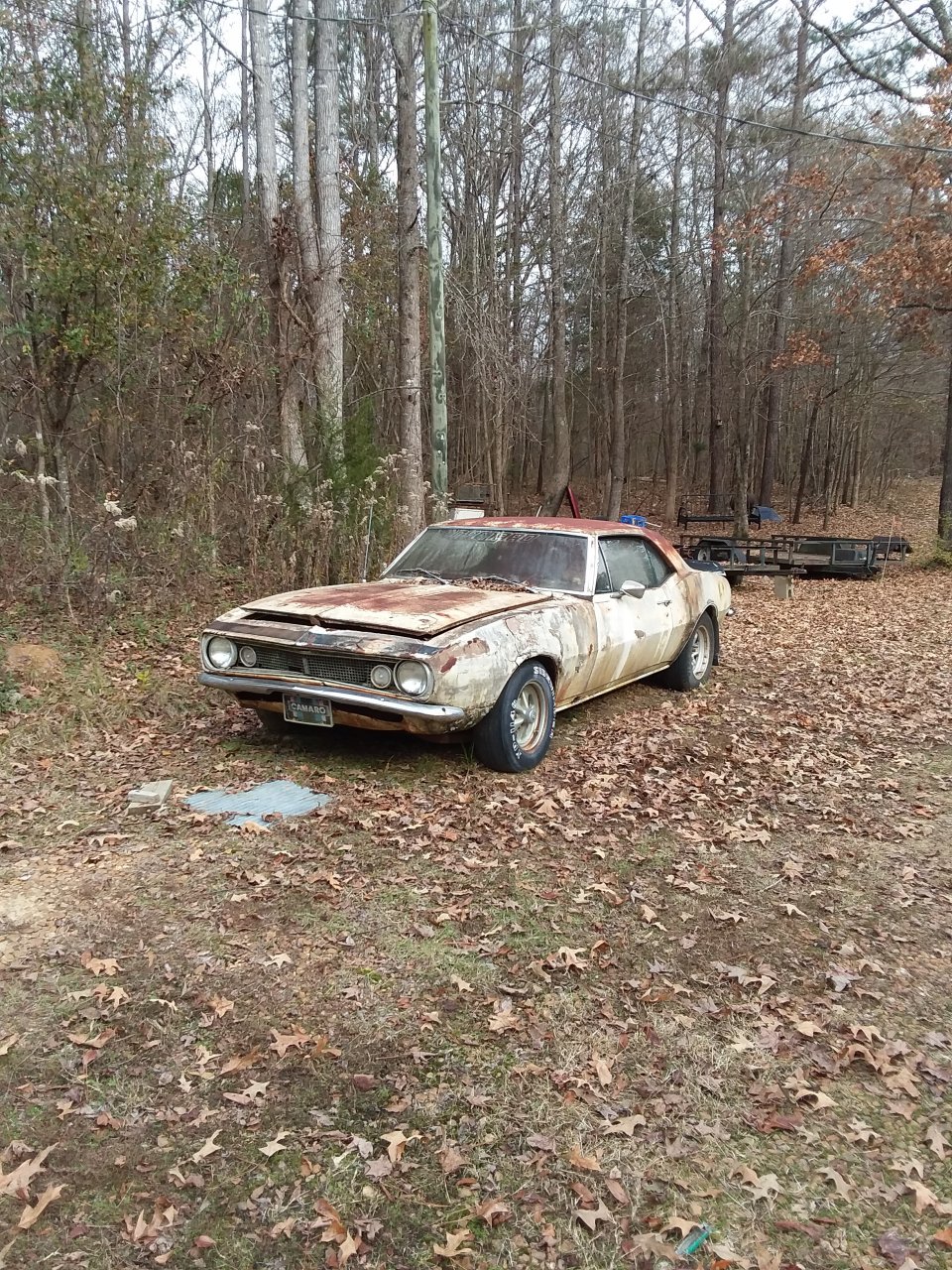 20181212_135221.jpg