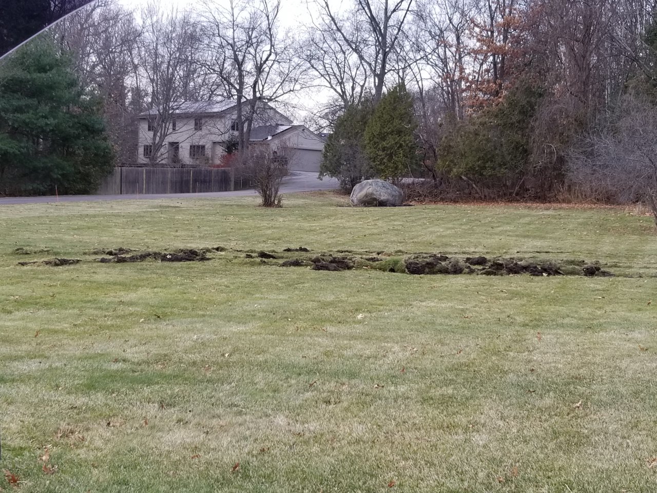 20181220_151736.jpg