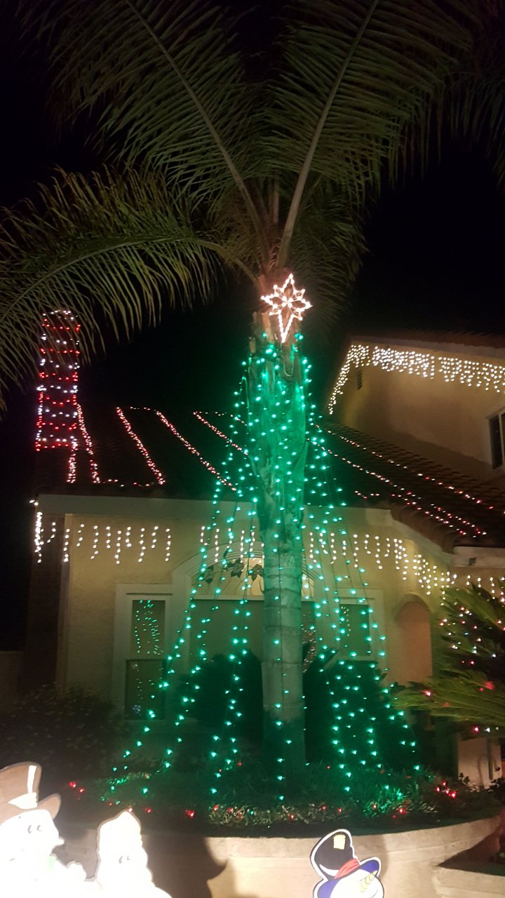 20181223_191545.jpg