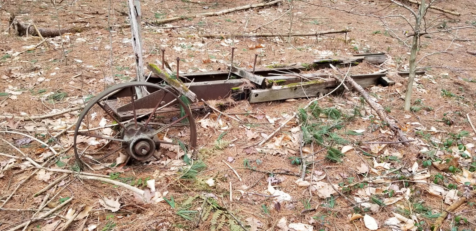 20190414_113838.jpg