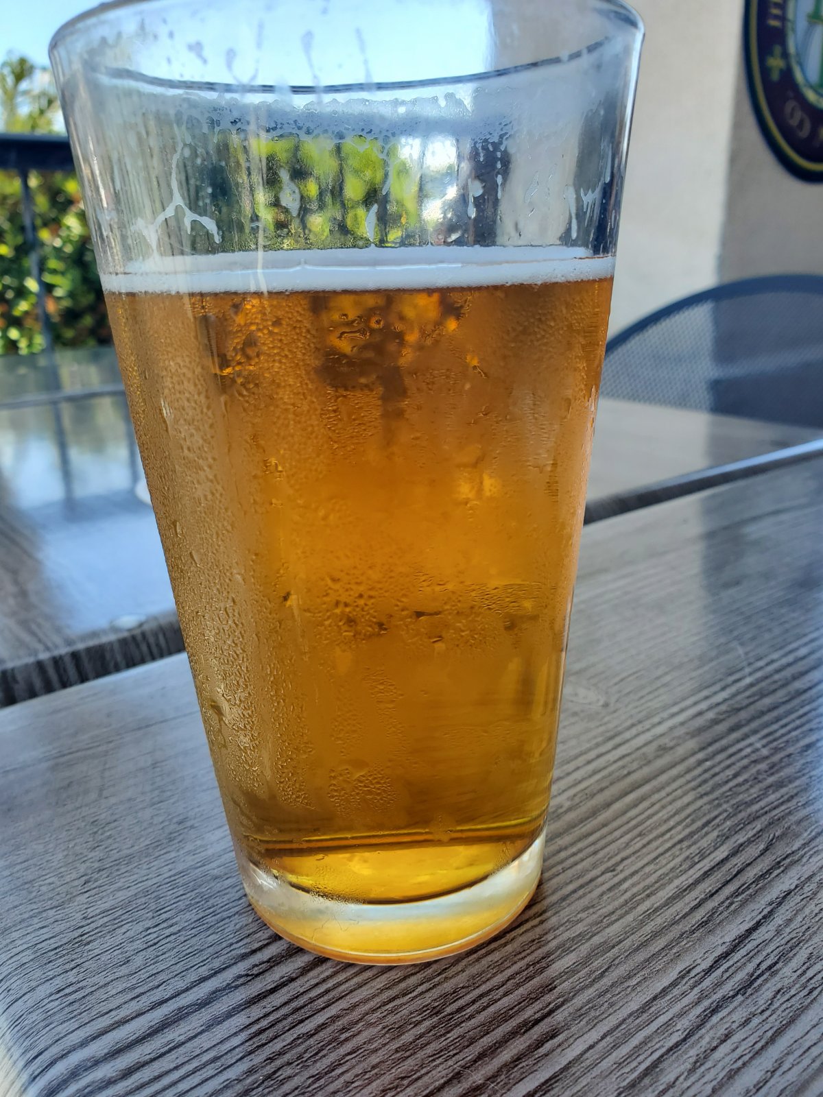 20190419_123910.jpg