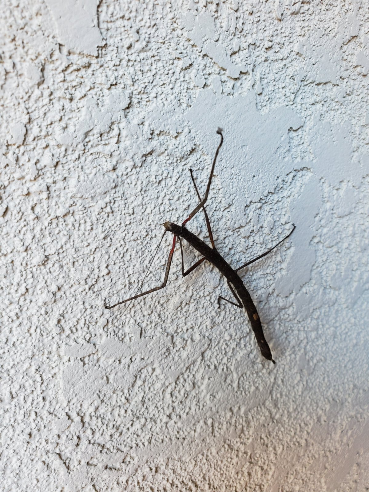 20190605_112721.jpg