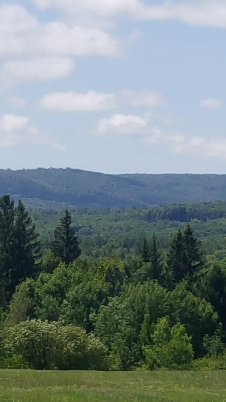 20190611_114325.jpg