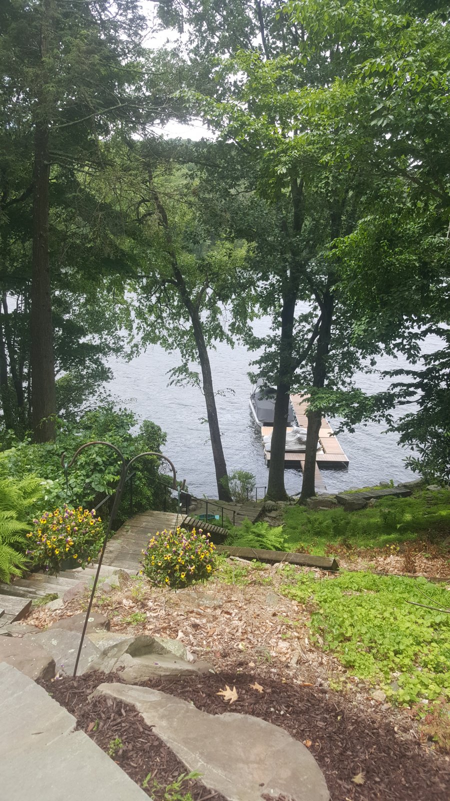 20190621_123036.jpg