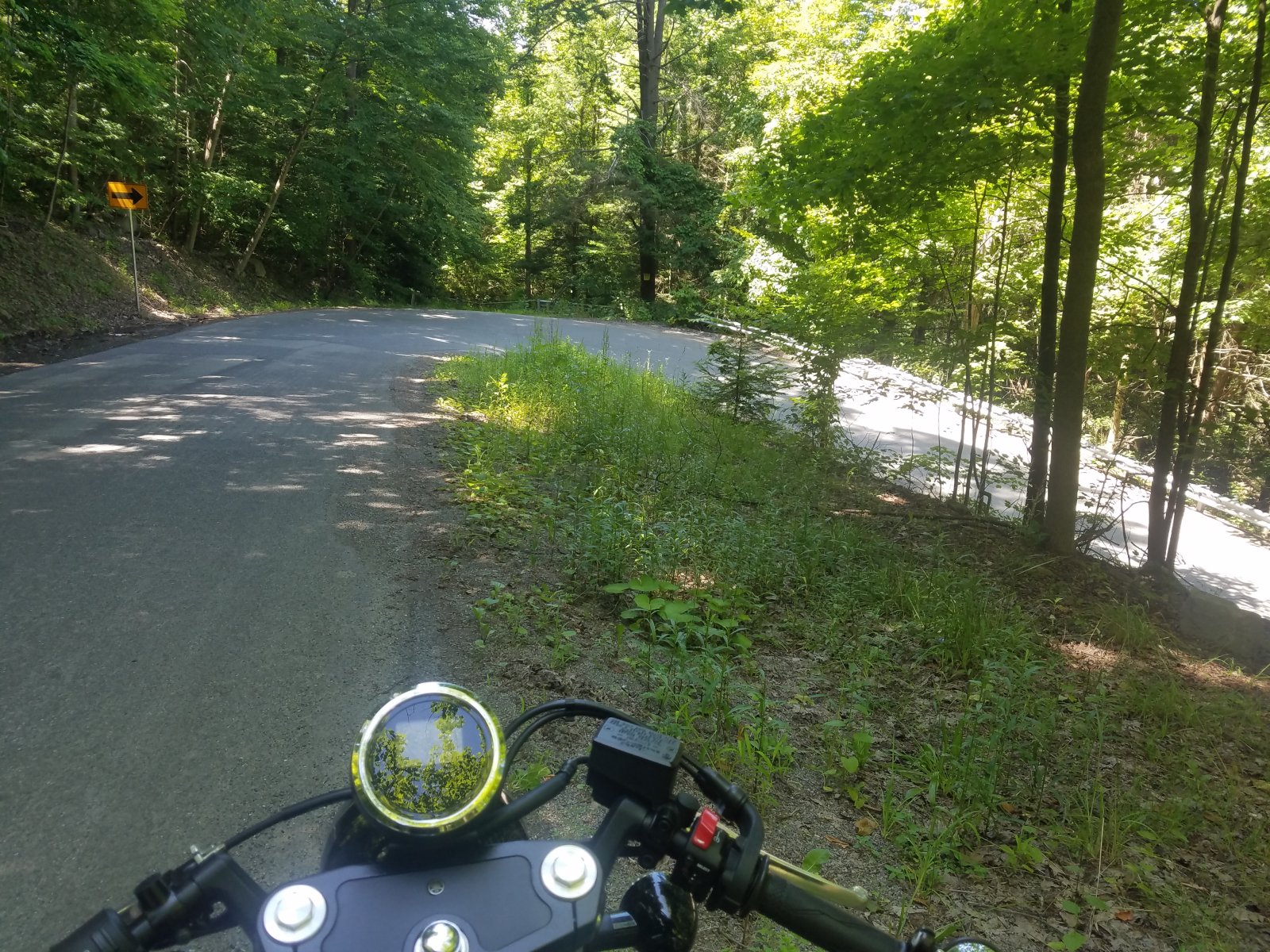 20190623_152139.jpg