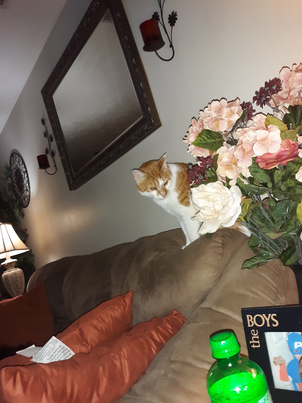 20190707_214449.jpg