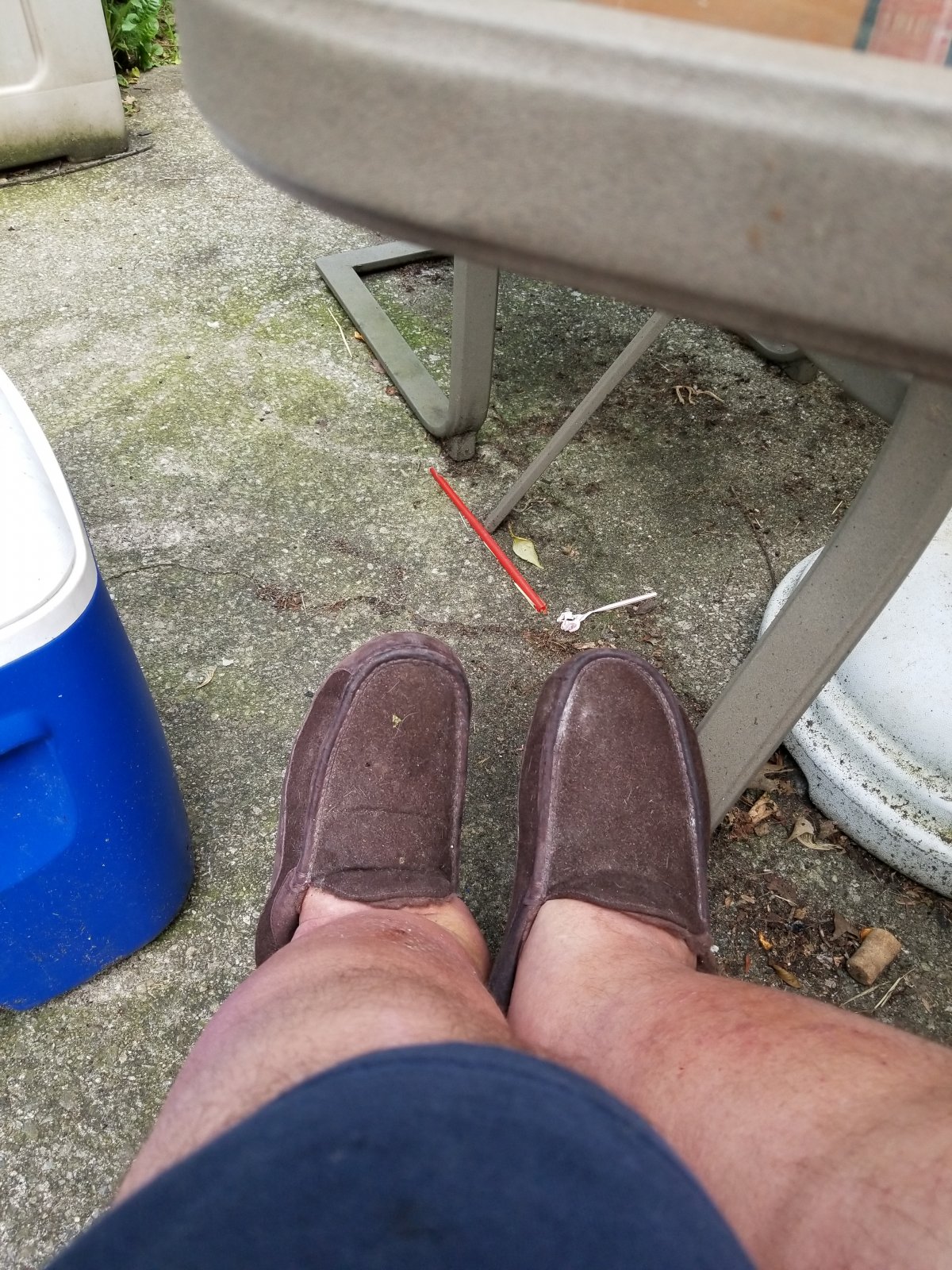 20190716_181647.jpg