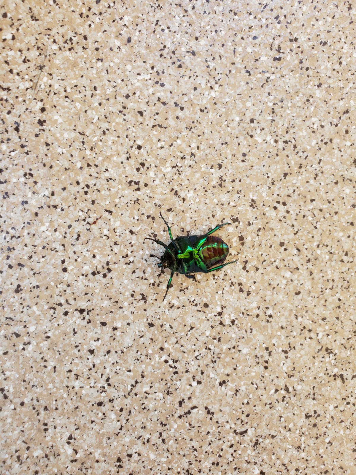 20190808_153421.jpg