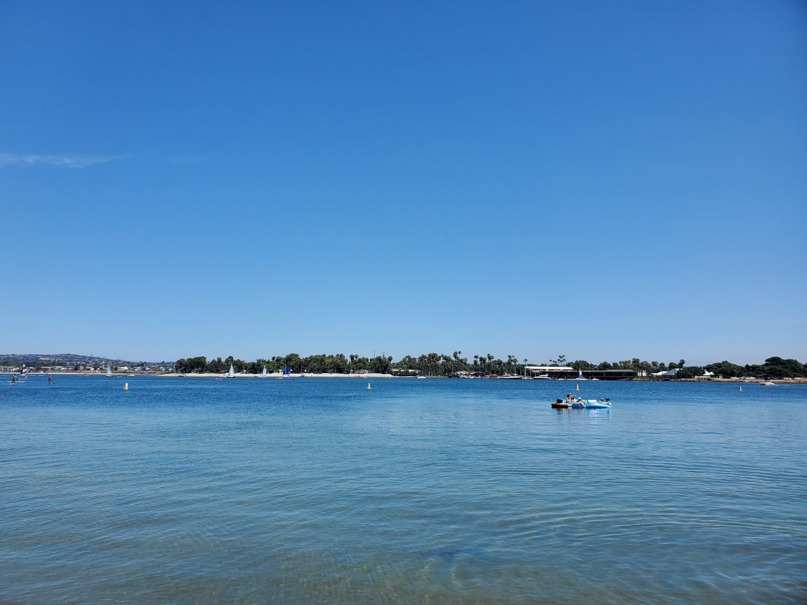 20190817_122041.jpg