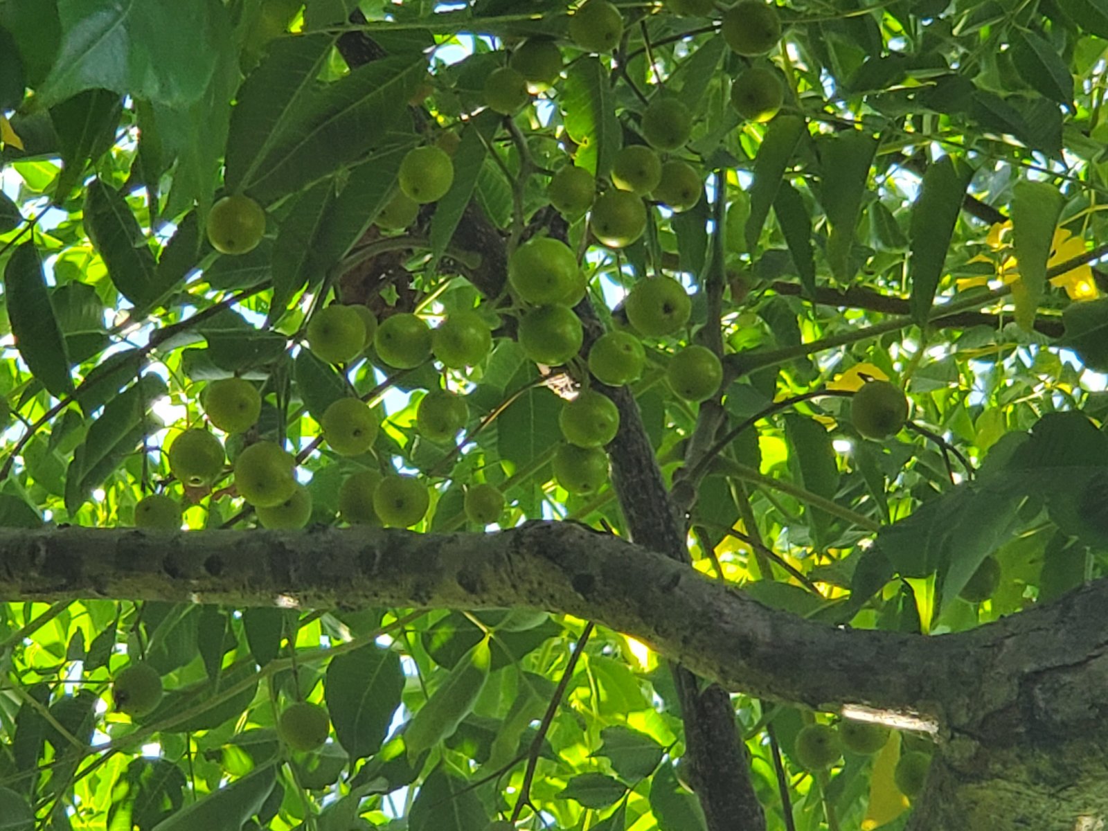 20191028_162428.jpg