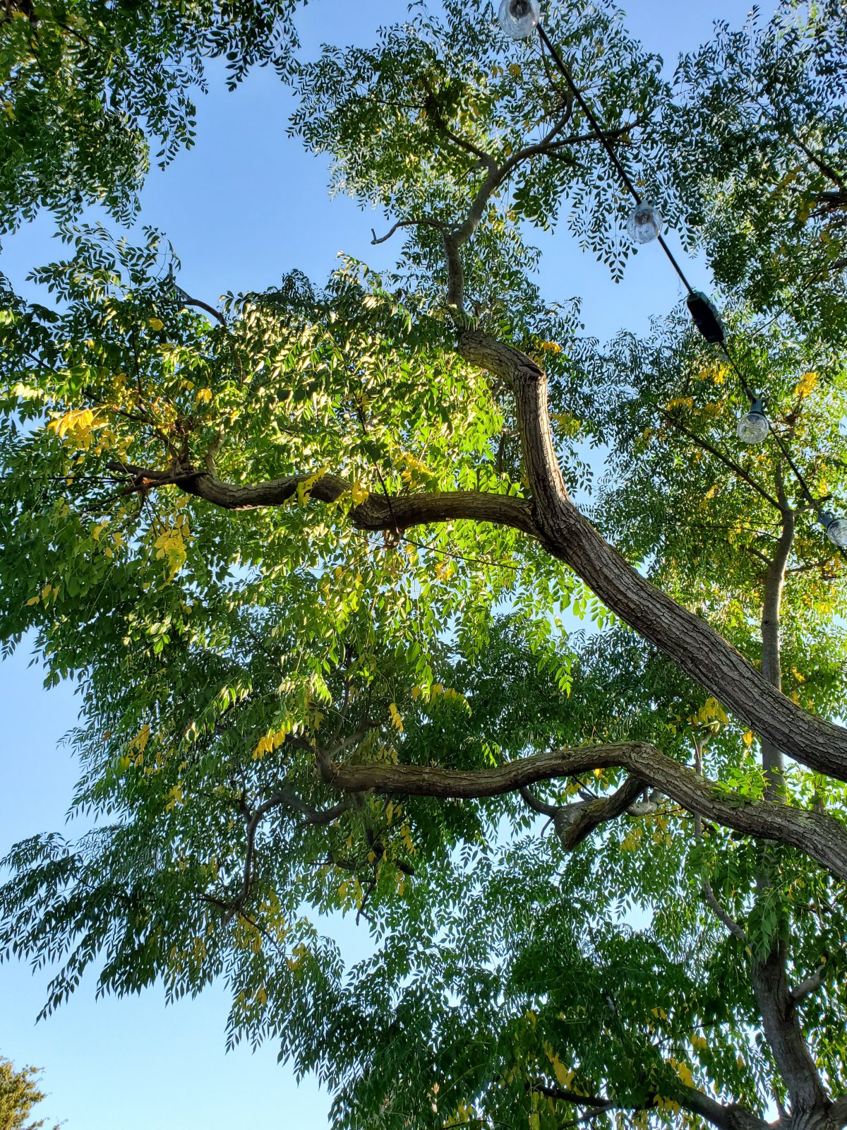 20191028_162512.jpg