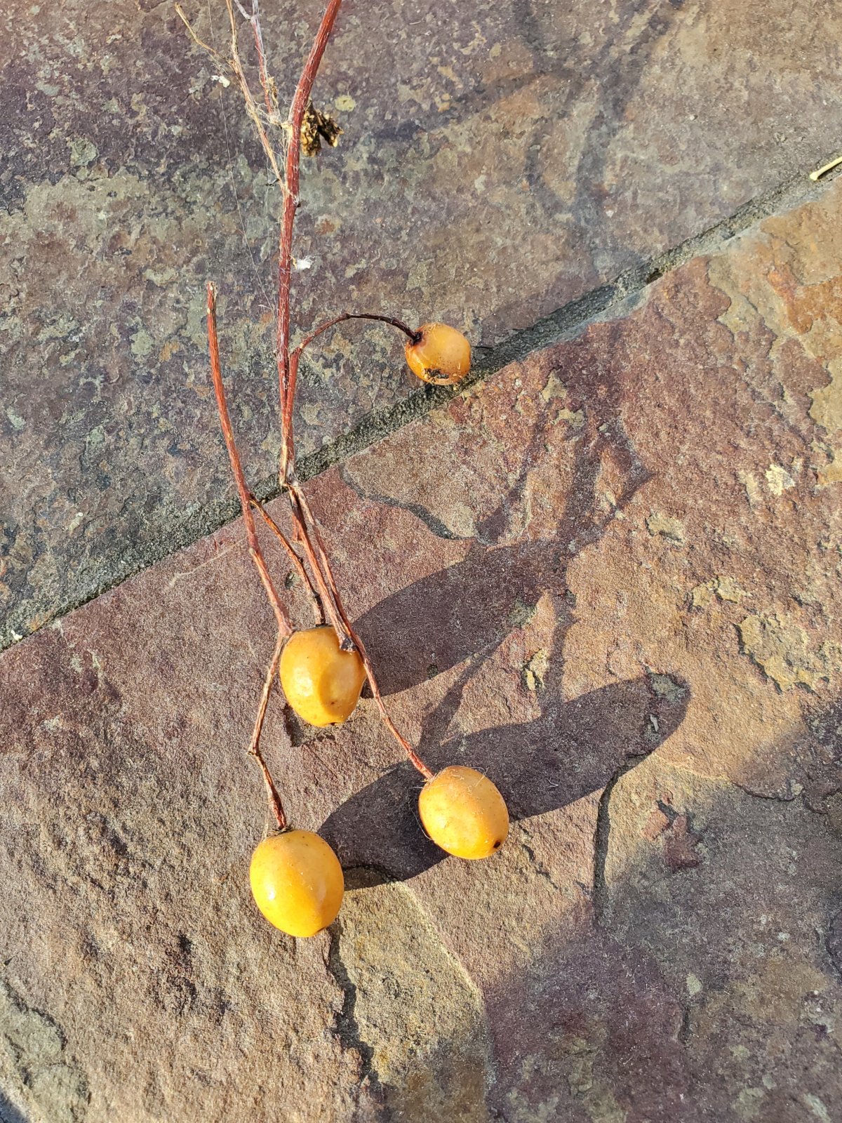 20191028_163113.jpg