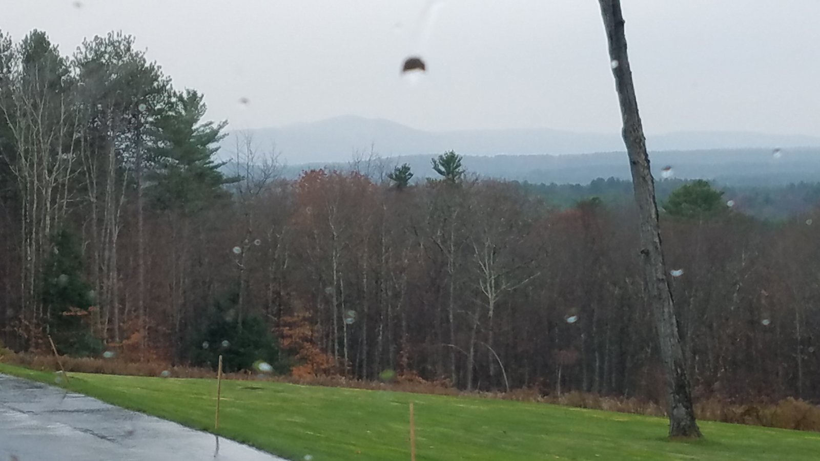 20191107_135244.jpg