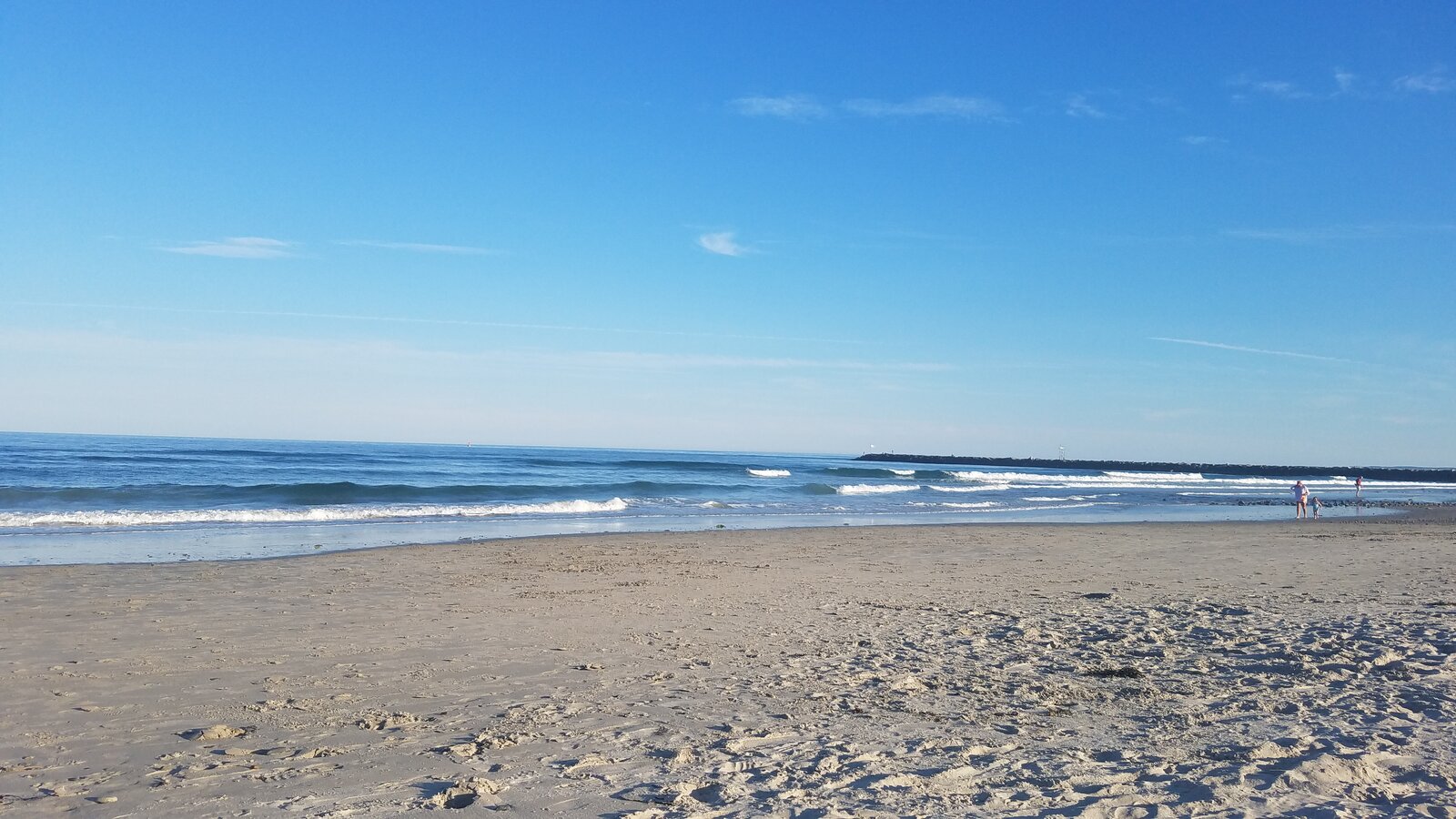 20200731_184116.jpg