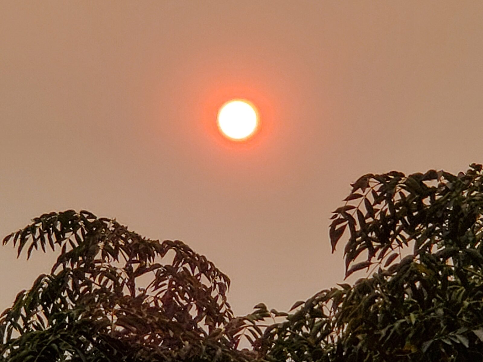20200907_174509.jpg