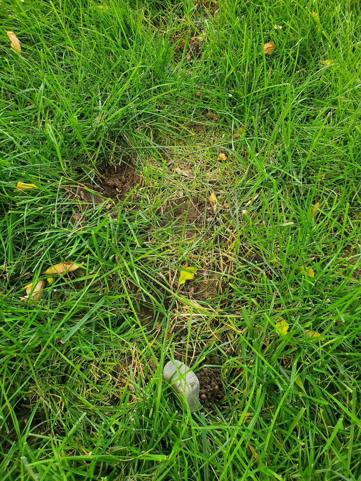 20200912_183136.jpg