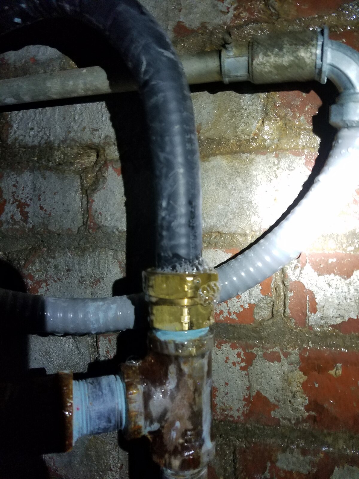 20201228_115656.jpg