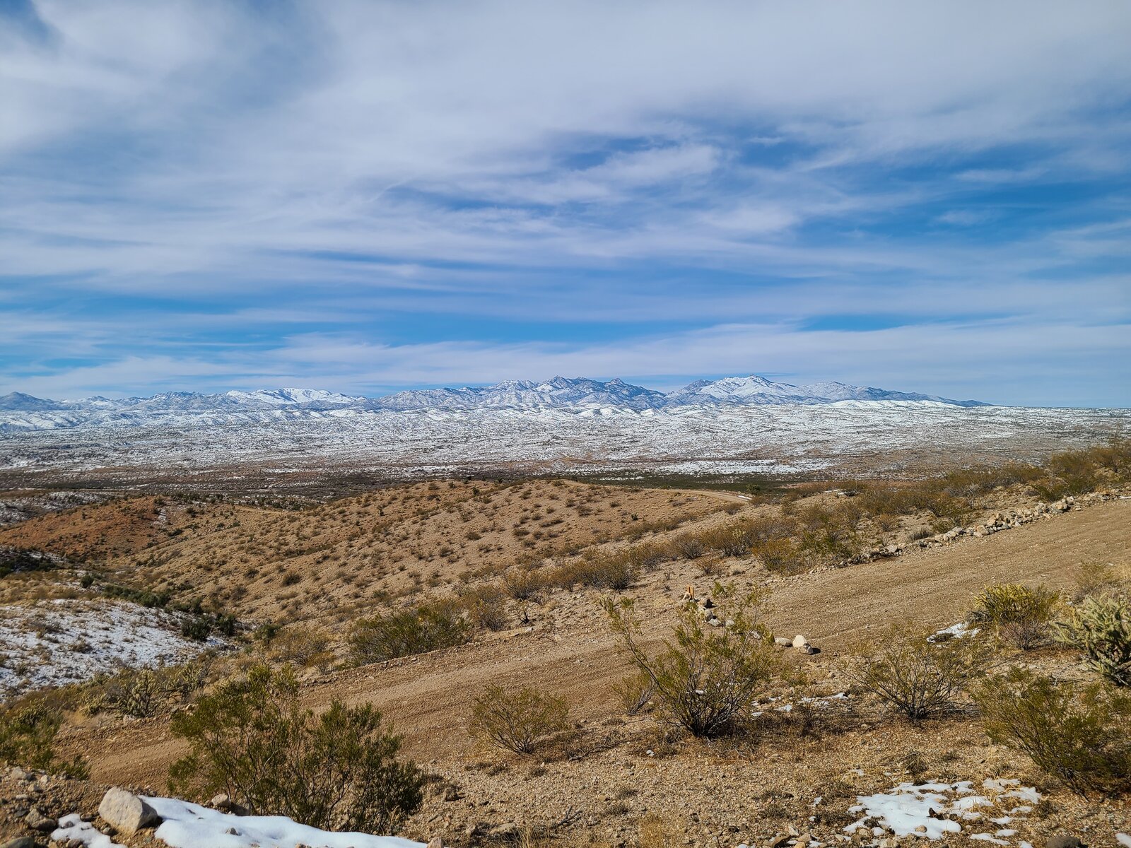 20210128_121430.jpg