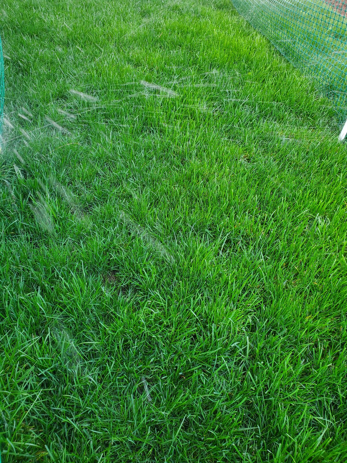 20210402_080225.jpg