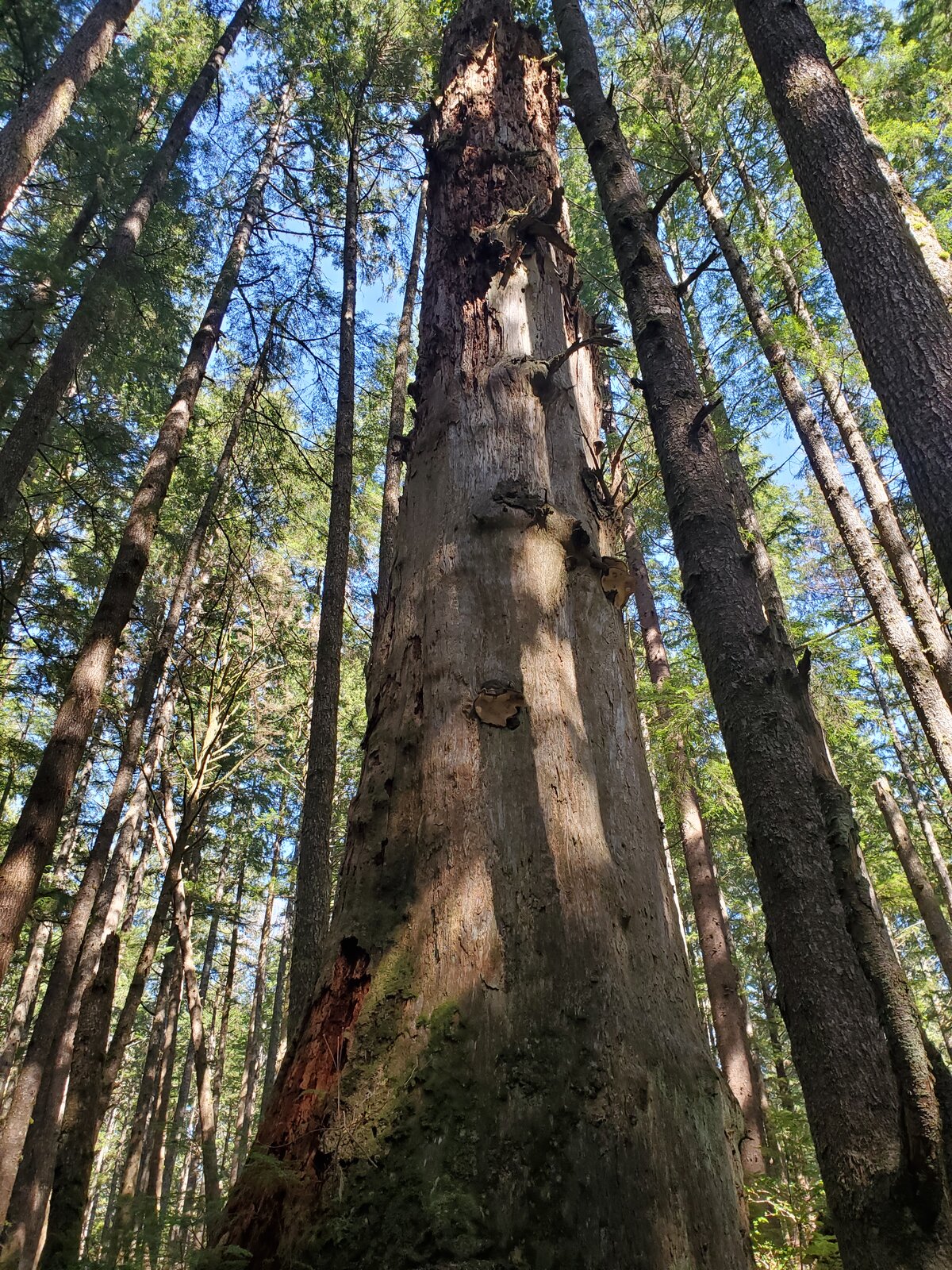 20210414_151450.jpg