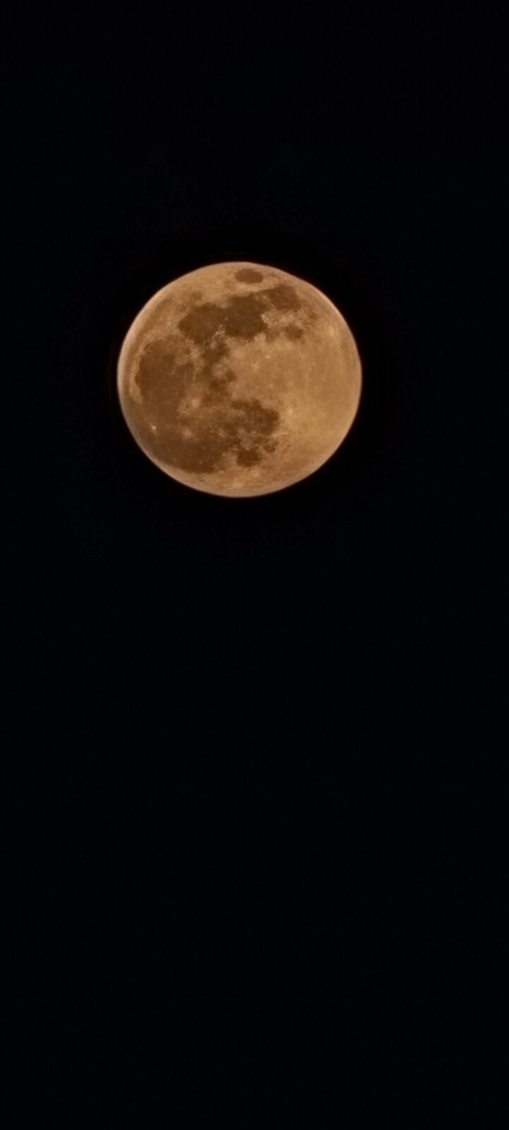 20210426_194940.jpg