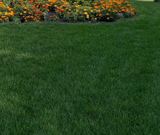 20210818_071413.jpg