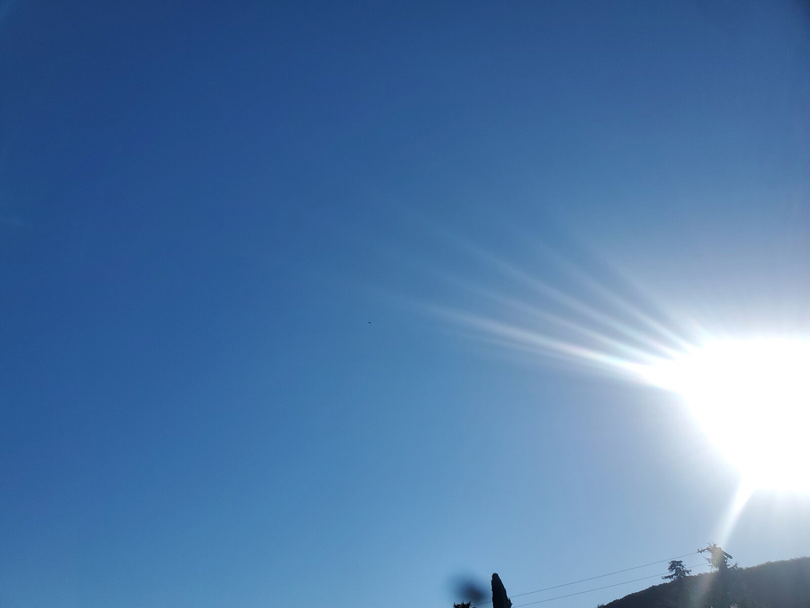 20220203_083440.jpg